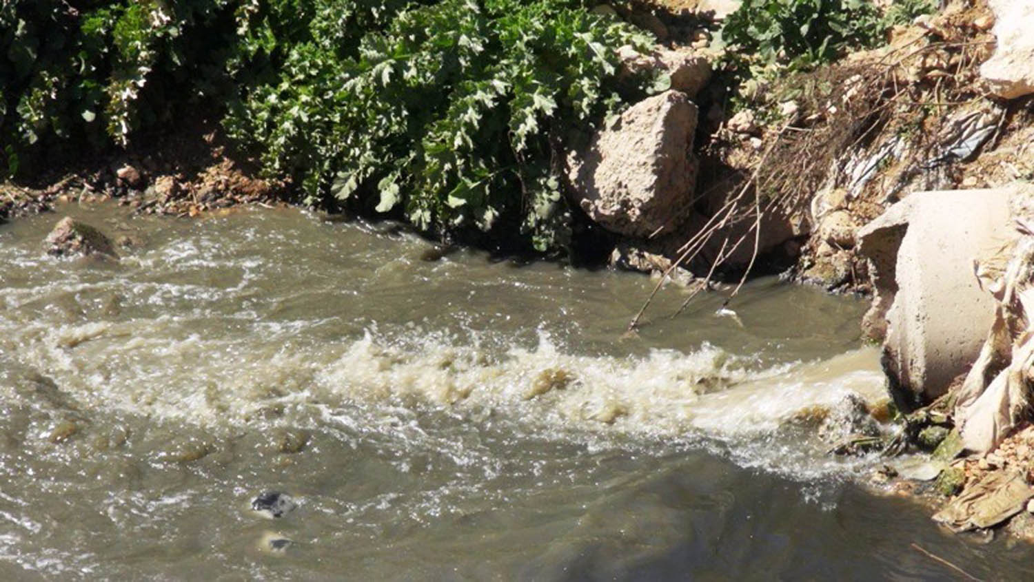 جريمة بيئية خطيرة على ضفاف نهر الليطاني